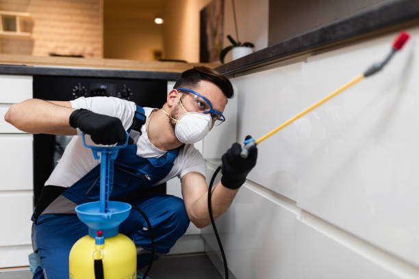 Best Best Pest Control Companies  in Mansfield, PA