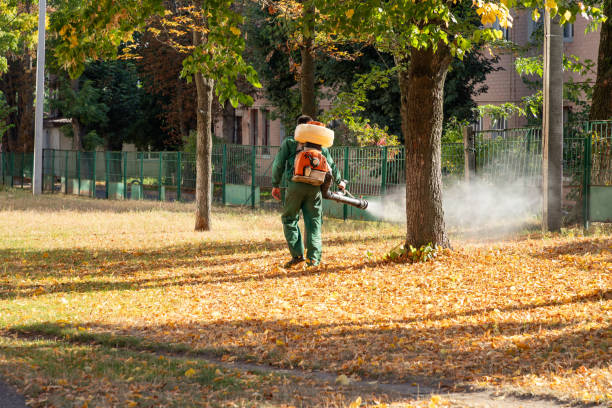 Best Affordable Pest Control Services  in Mansfield, PA